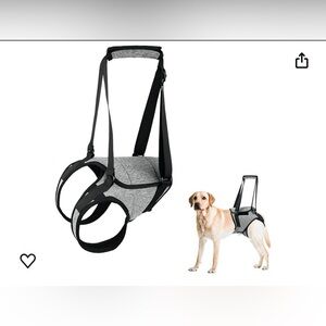 Medium Youth, Back Brace, Gray Adjustable w Straps about 20 inches around bust